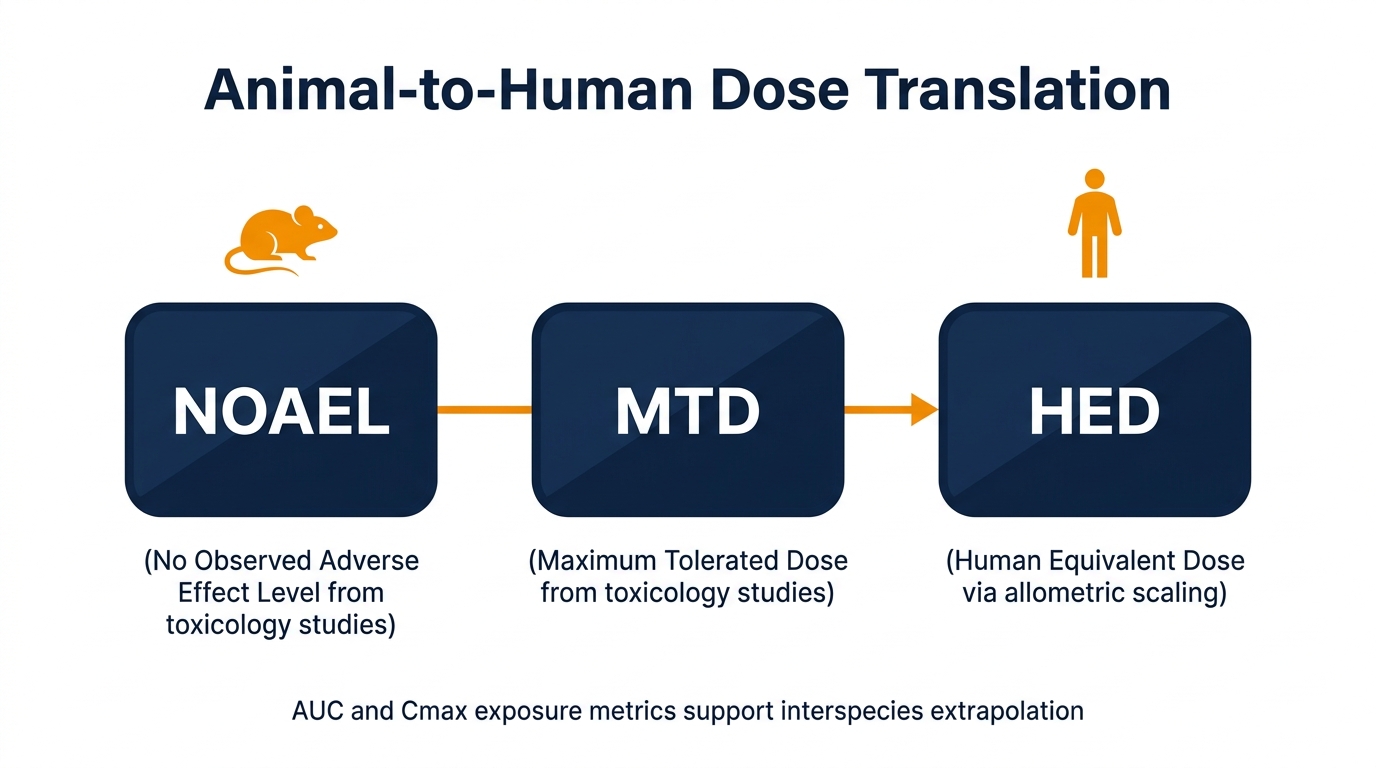 Translating animal data to humans using NOAEL MTD and HED methodology