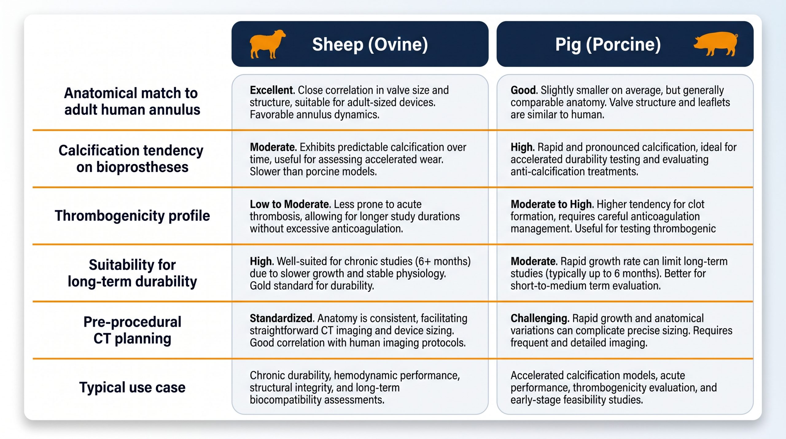 UnderstandingtheCrucialRoleofaHeartValveReplacementAnimalModel