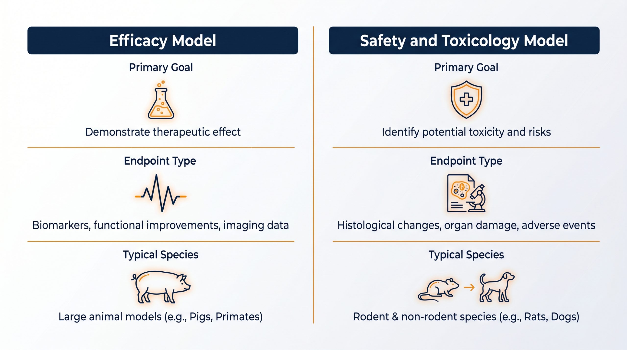 TheCriticalFactorsforChoosinganAnimalModelinPreclinicalResearch