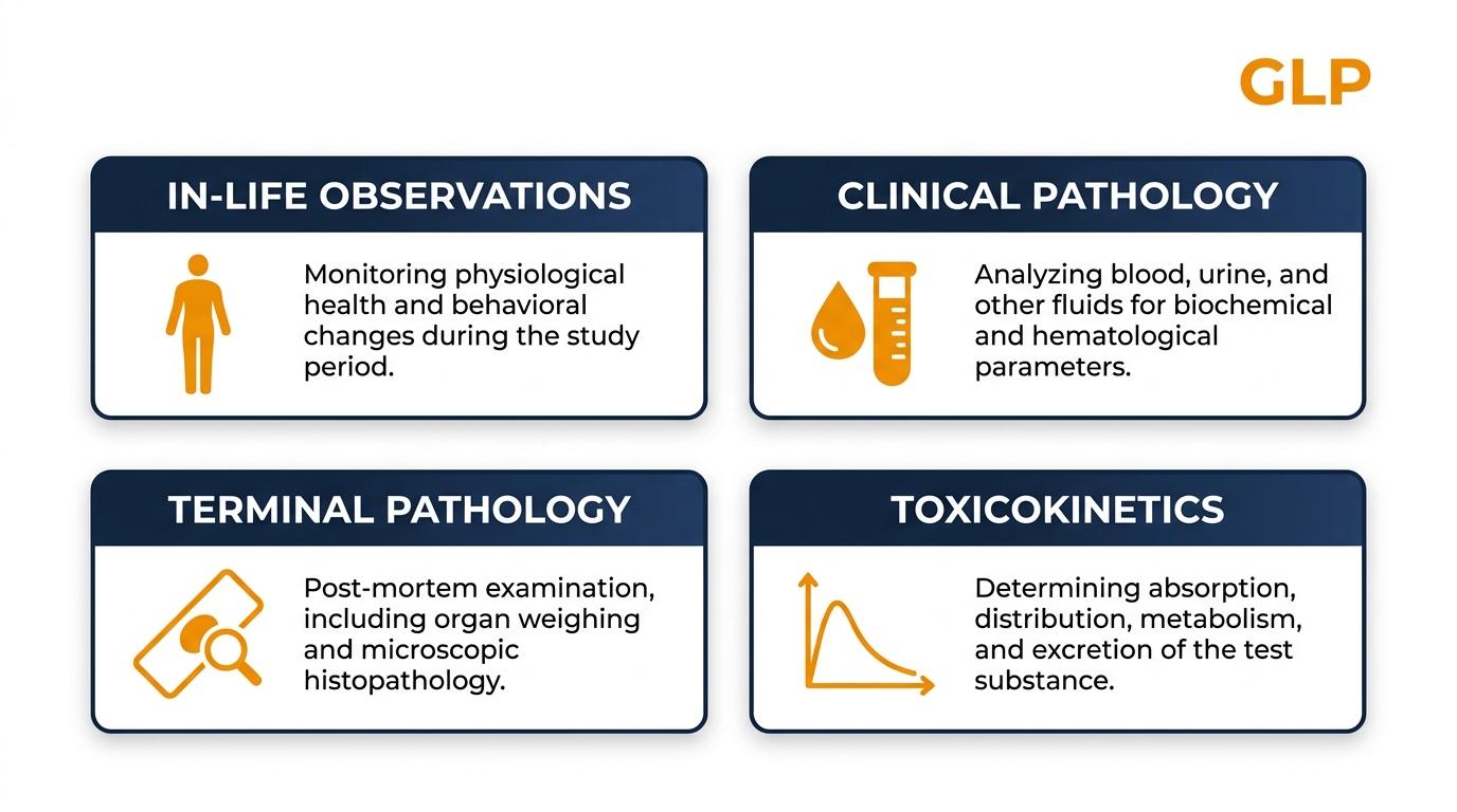 Typical endpoints in GLP toxicology studies