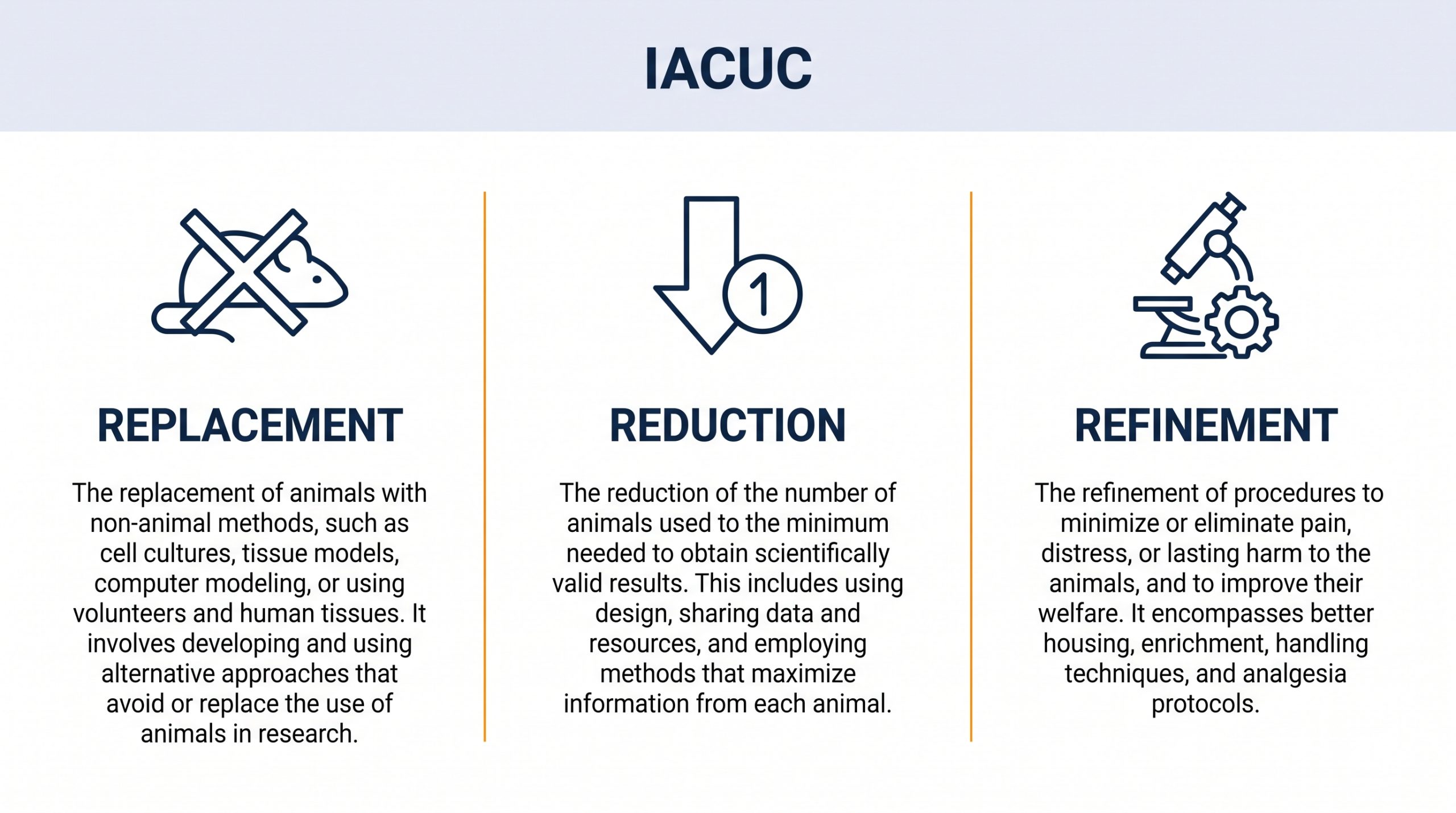 UnderstandingIACUCProtocolSubmissionforAnimalStudies